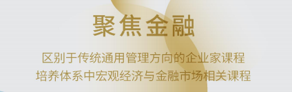 金融創(chuàng)新與上市并購董事長項目