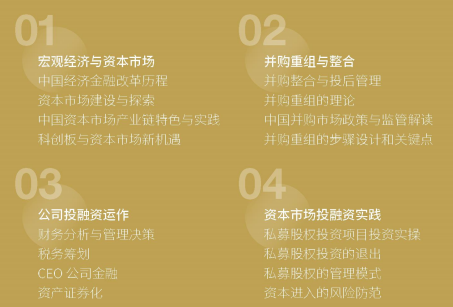 金融創(chuàng)新與上市并購董事長項目